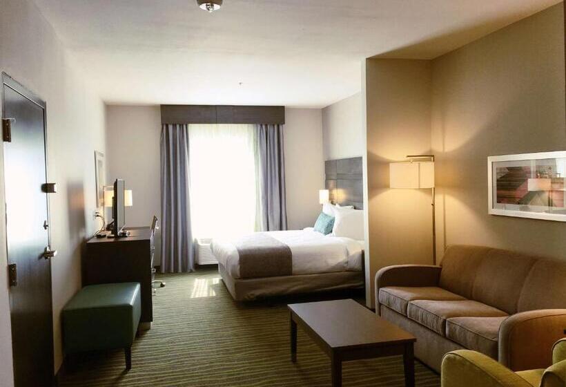 Best Western Plus Prien Lake Hotel & Suites Lake Charles