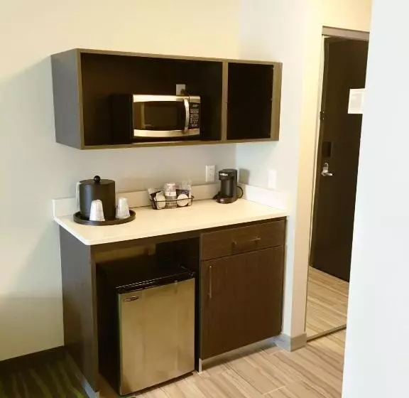 Best Western Plus Prien Lake Hotel & Suites   Lake Charles