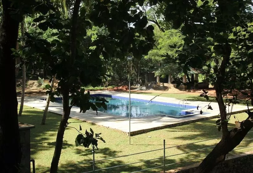 ホテル Dambulu Oya Family Park