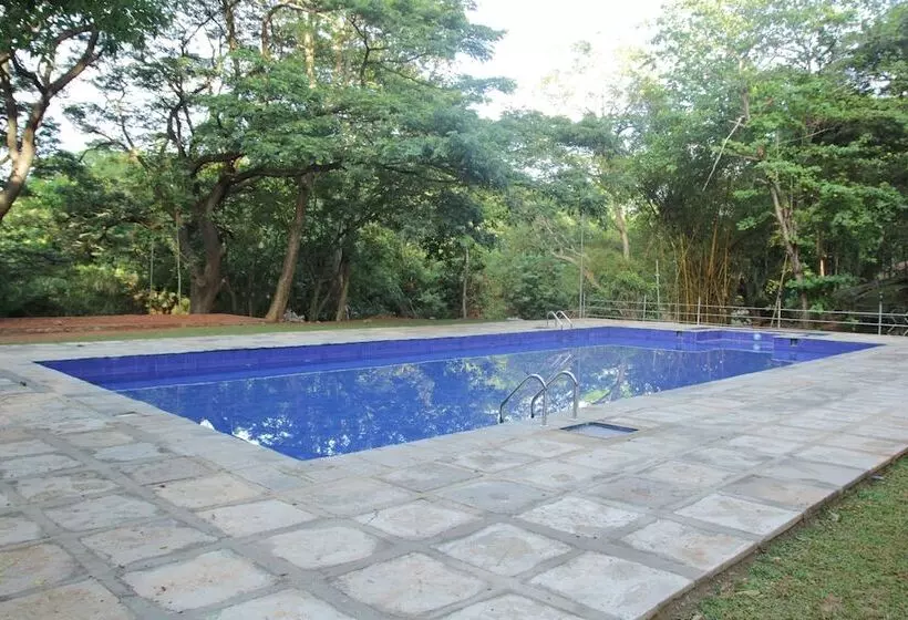 ホテル Dambulu Oya Family Park