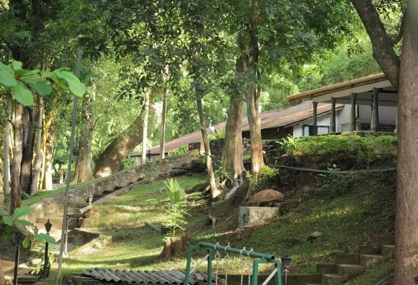 ホテル Dambulu Oya Family Park