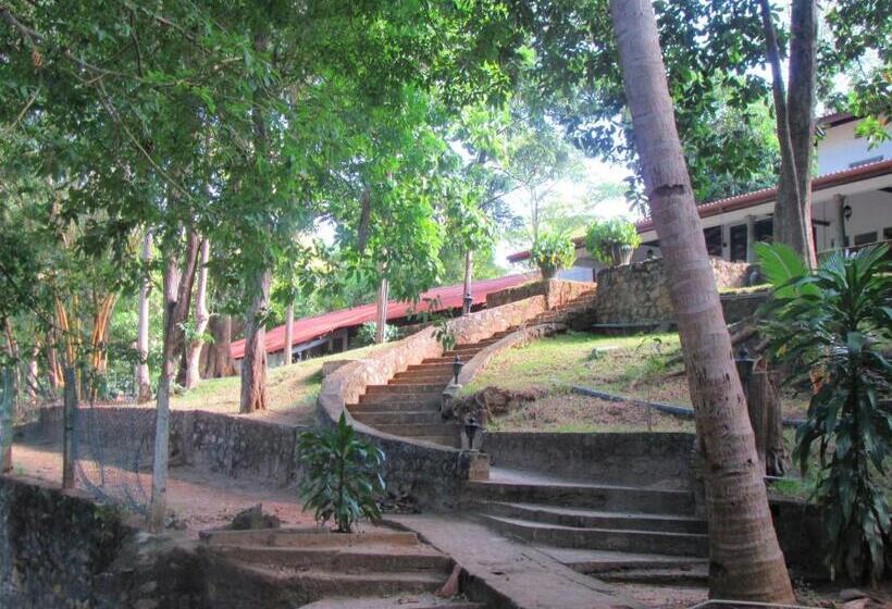 ホテル Dambulu Oya Family Park