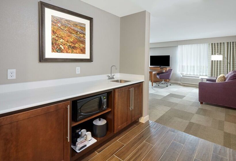 酒店 Hampton Inn Fond Du Lac