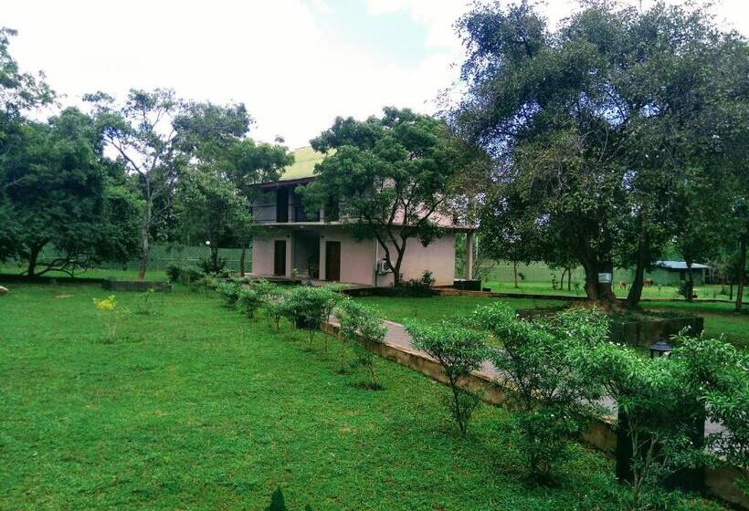 Hotel Nice Place Resort