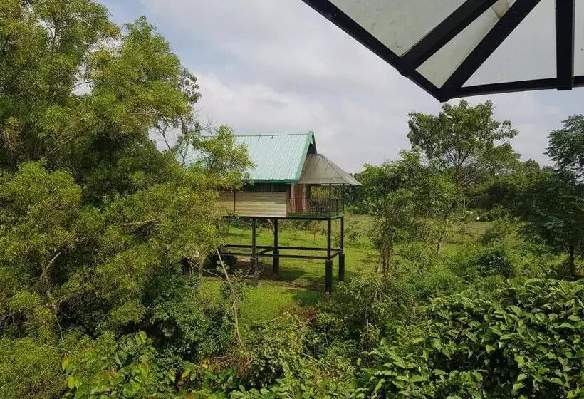 בית מלון כפרי Nice Place Resort