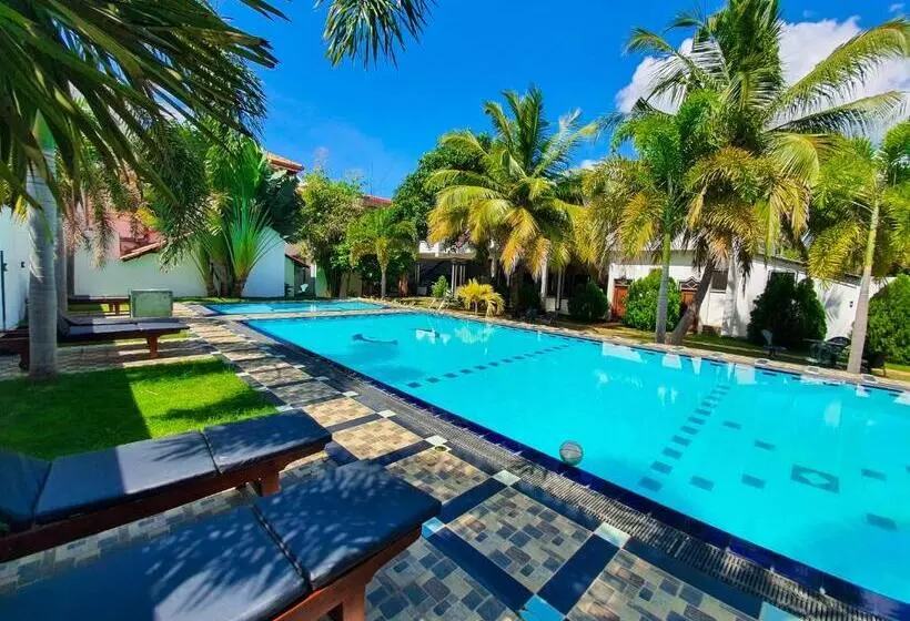 هتل Peacock Reach