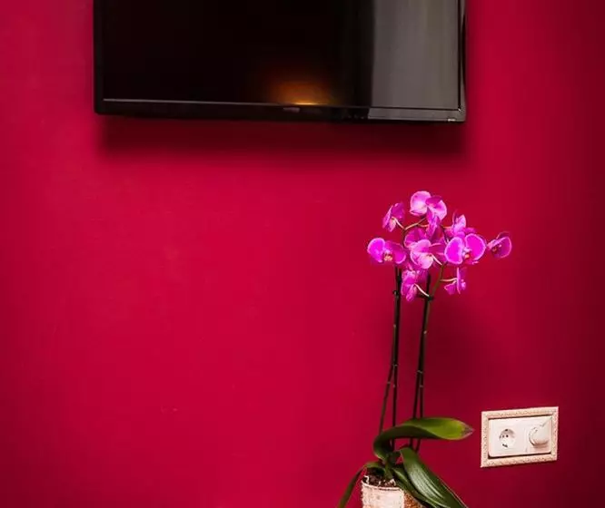 בית מלון כפרי Triva