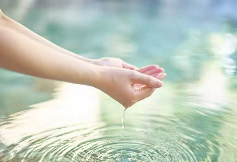 Hotel Ooedo Onsen Monogatari Gero Bekkan