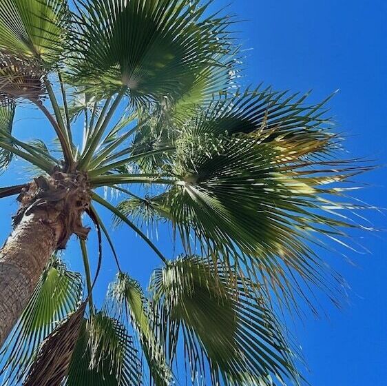 Semiramis Apartments By Estia