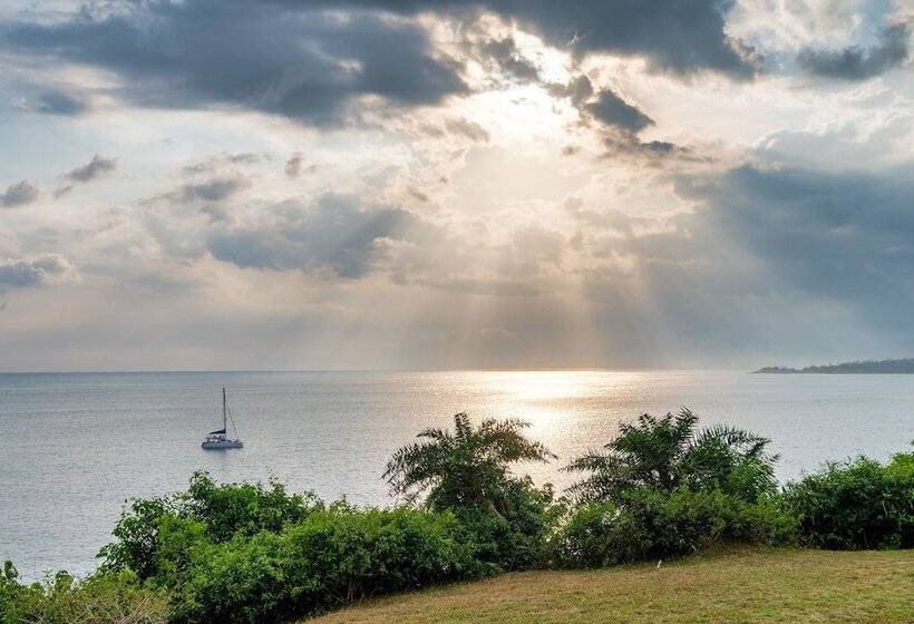 Redcliffs By The Serendipity Collection