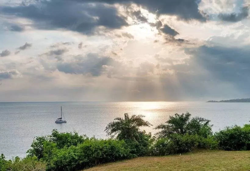 Redcliffs By The Serendipity Collection