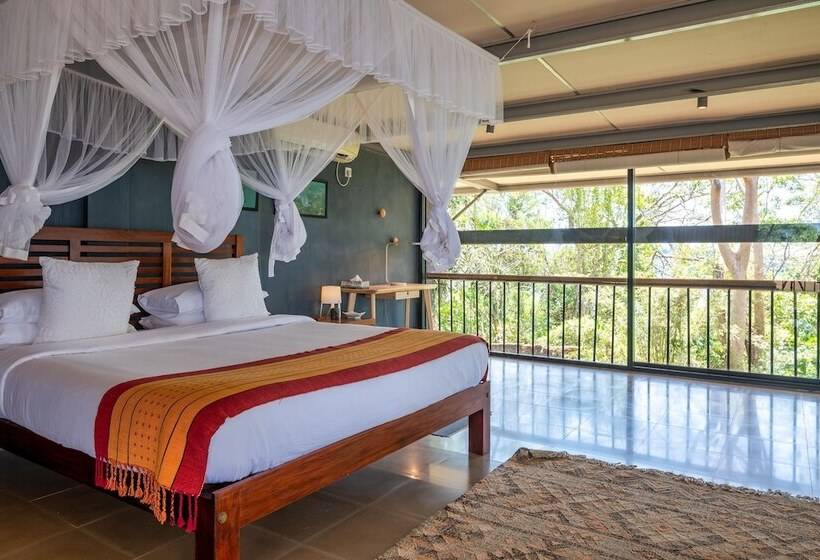 Redcliffs By The Serendipity Collection