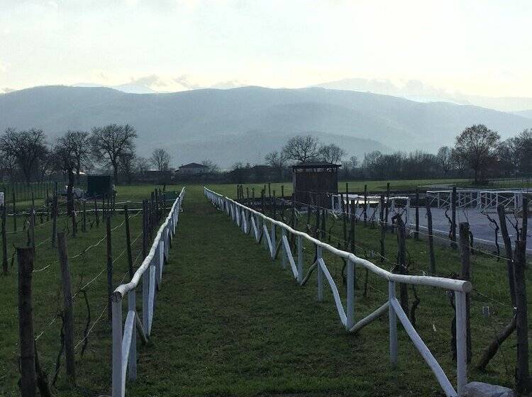 Bed and Breakfast Ca  Del Conte   Maison De Charme