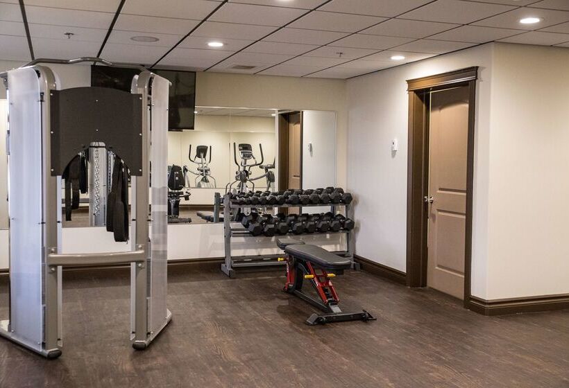 酒店 Chateau Nova Peace River