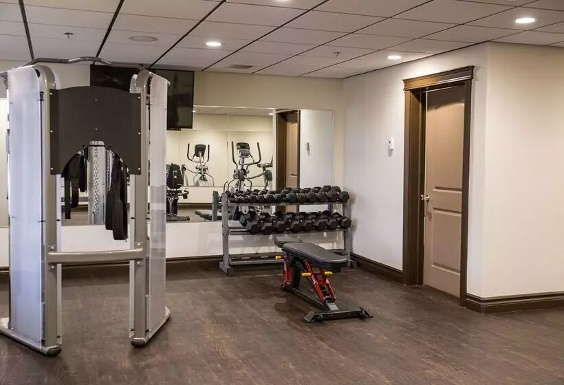 Отель Chateau Nova Peace River