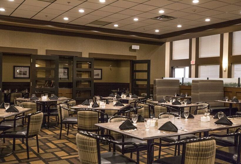 酒店 Chateau Nova Peace River