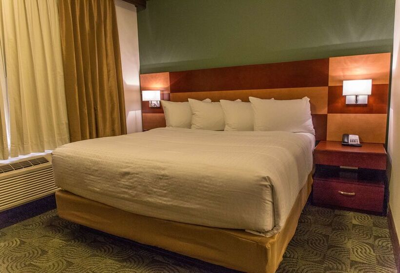 酒店 Chateau Nova Peace River