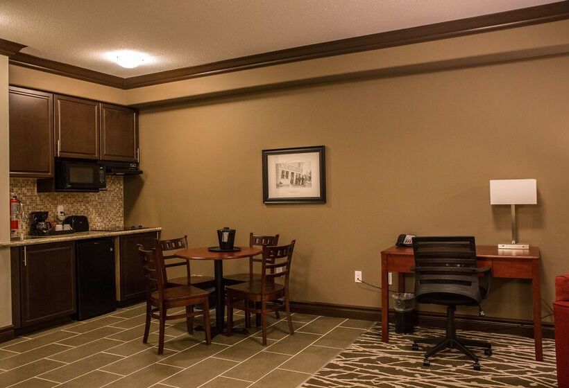 酒店 Chateau Nova Peace River