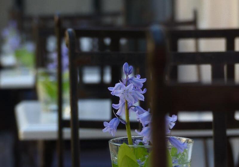 בית מלון כפרי La Maison Douce