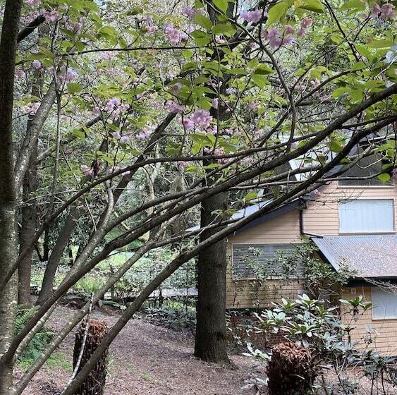 Отель Lochiel Luxury Accommodation