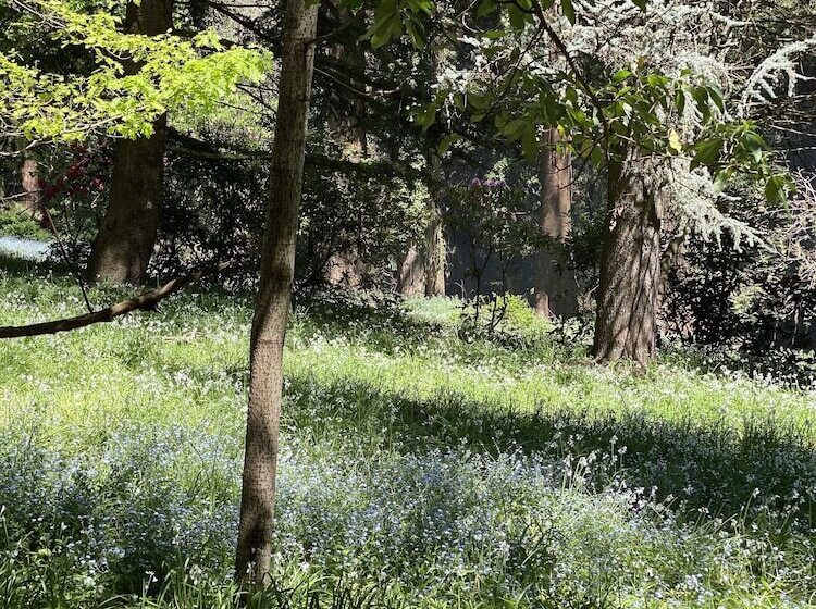 Отель Lochiel Luxury Accommodation