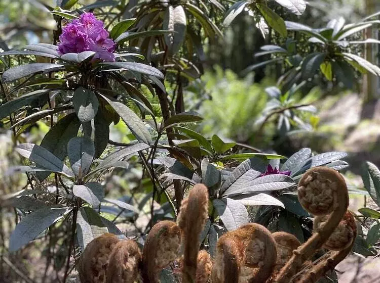 فندق Lochiel Luxury Accommodation