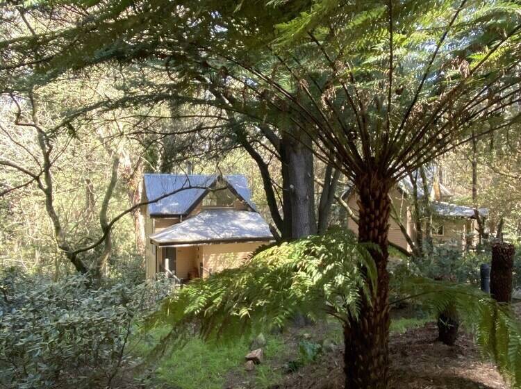 Отель Lochiel Luxury Accommodation