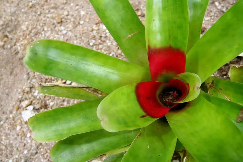 호텔 Mission Beach Shores