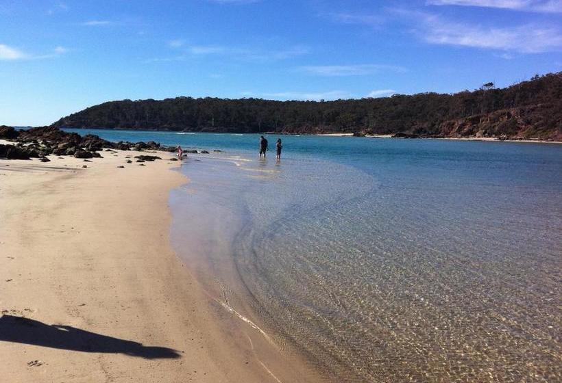 ホテル Telopea Court