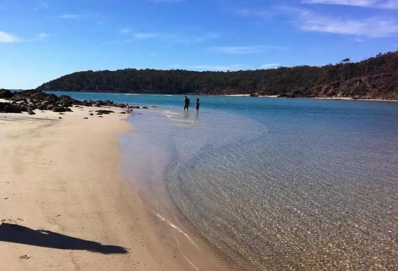 هتل Telopea Court