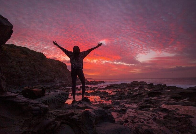 酒店 The Island Accommodation