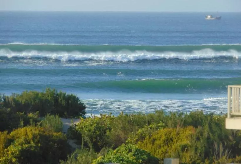 بنسيون Whale Watchers Inn