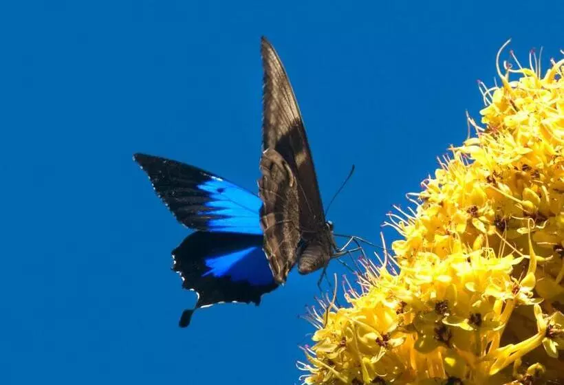 住宿加早餐  Sealords