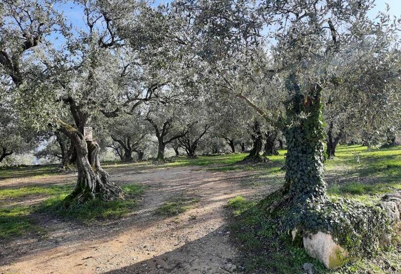 Florivana Boutique Hotel Ristorante