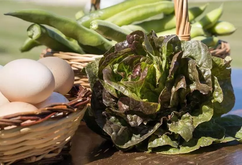 בית מלון כפרי Agriturismo Casella Del Piano