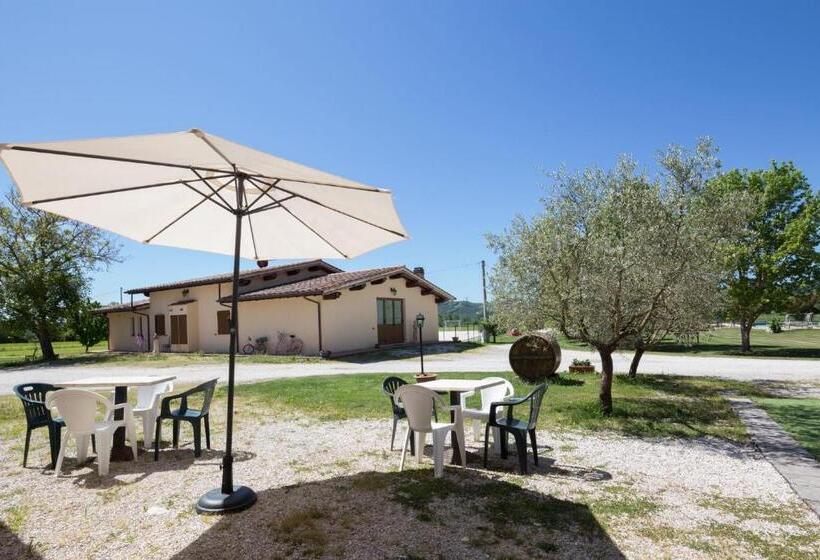 בית מלון כפרי Agriturismo Casella Del Piano