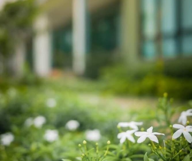 فندق Moonlight Cottage Phuket