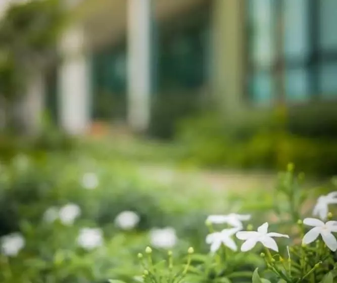 Hotelli Moonlight Cottage Phuket