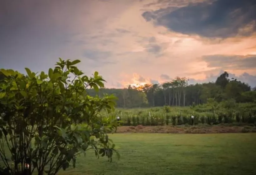 Hotelli Moonlight Cottage Phuket