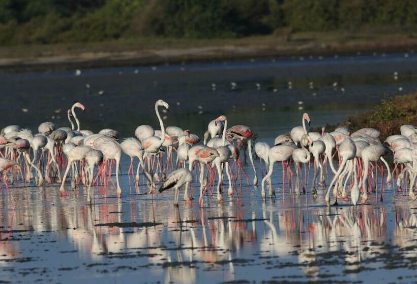 בית מלון כפרי Yala Villa