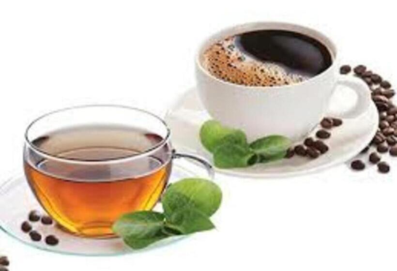 Chandra Hostel Koh Tao