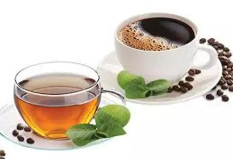 Chandra Hostel Koh Tao