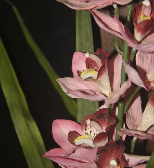 Отель Lar Residence