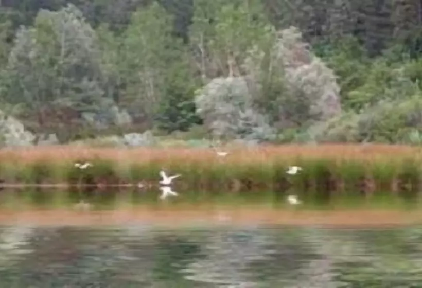 هتل Molino Le Gualchiere