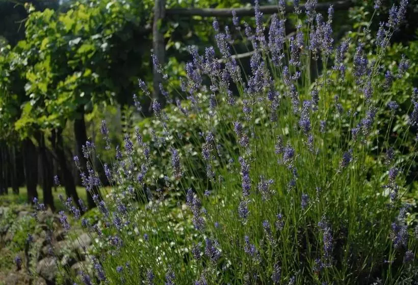 هتل Molino Le Gualchiere