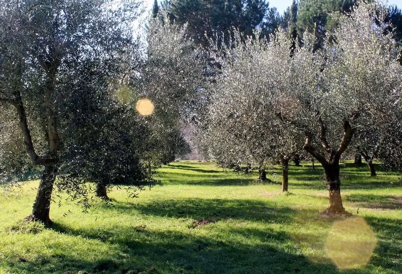 هتل Molino Le Gualchiere