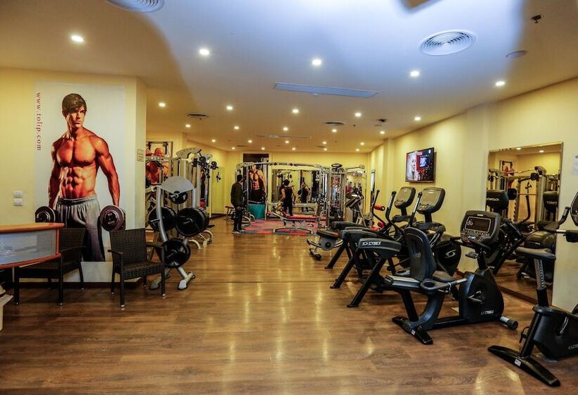 هتل Tolip Family Park