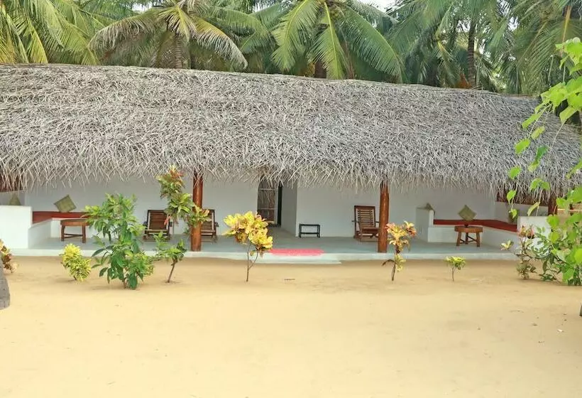 Roshanne Beach Resort