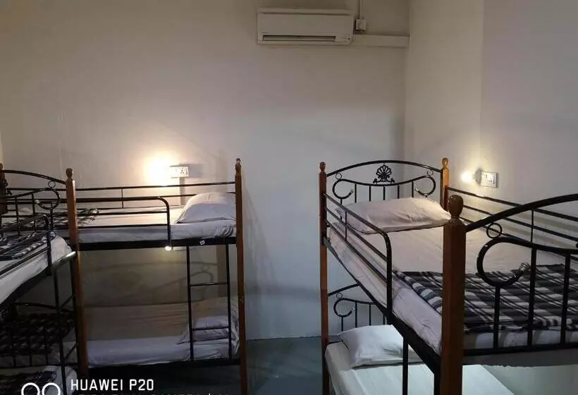 Vandrarhem Apple Backpackers