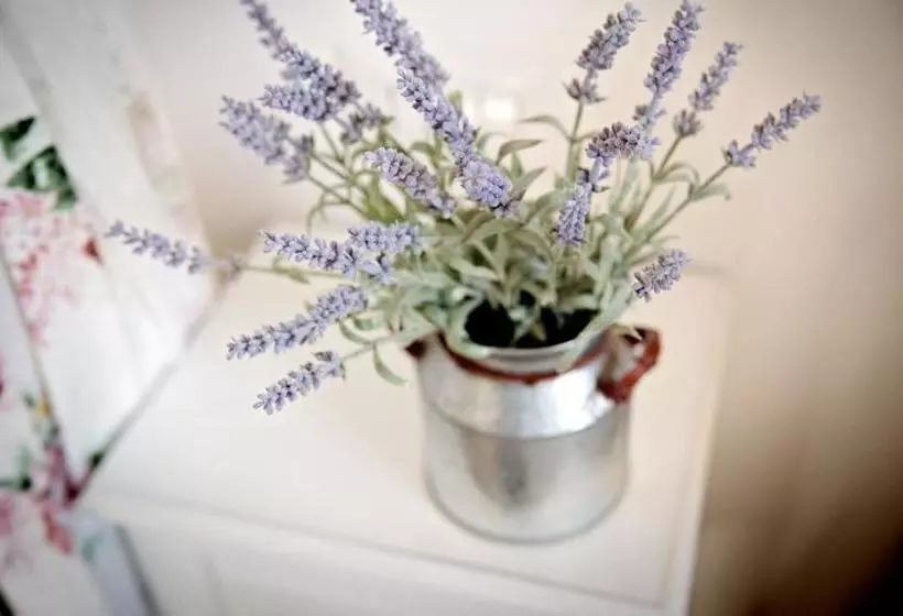 تختخواب و صبحانه Parco Di Nerone